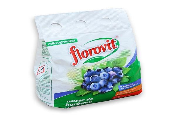 Florovit Medizin