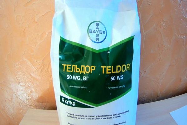 lijek Teldor