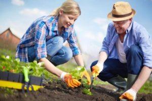 Calendario de plantación lunar de jardinero para mayo de 2020, días favorables