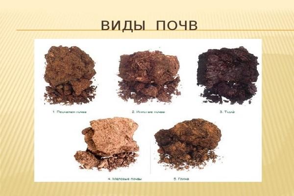 variety of soil