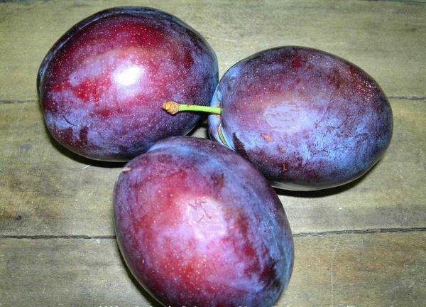 three plums