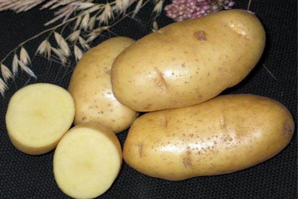 sandrine potatoes