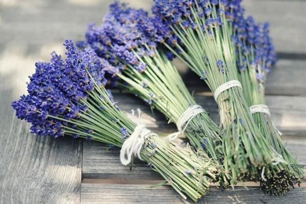 Blumensträuße aus Lavendel