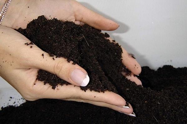 acidic soil
