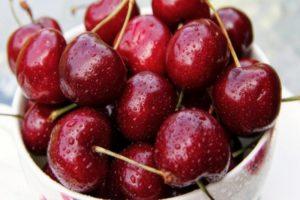 Characteristics and description of Vasilisa cherry varieties, planting and care