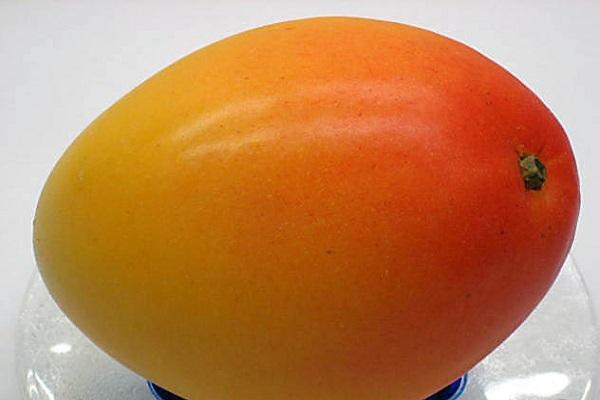fruit egg