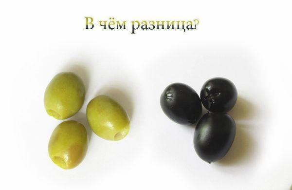 Erilaisia ​​oliiveja