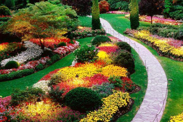 beautiful flower garden