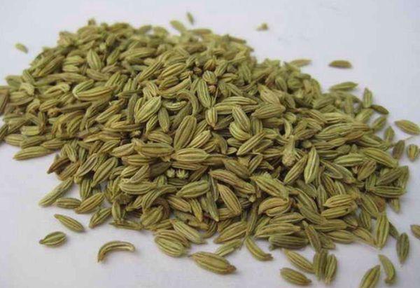 chamomile seeds