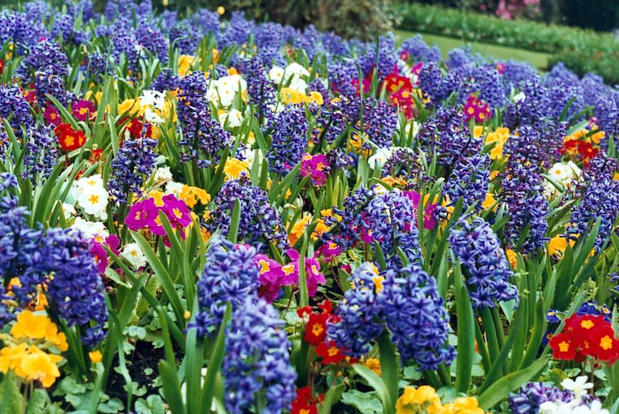 jardins de flors al país