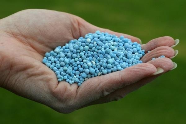 Phosphorus fertilizer