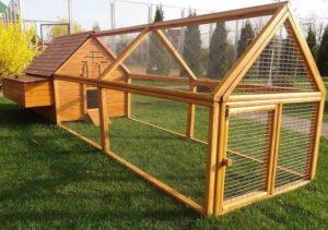 How to build a chicken coop for 20 chickens with your own hands, dimensions and drawings