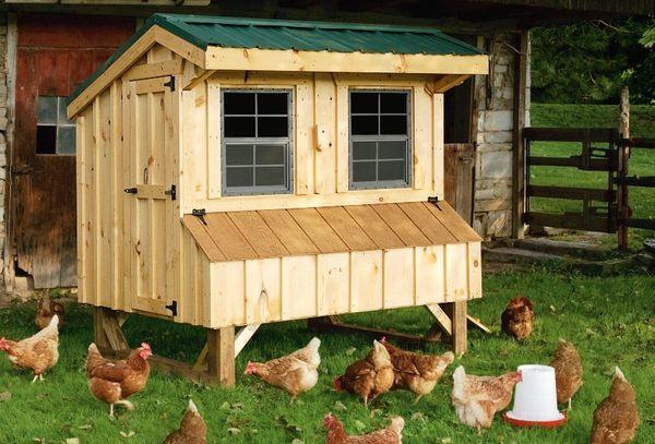 do-it-yourself chicken coop