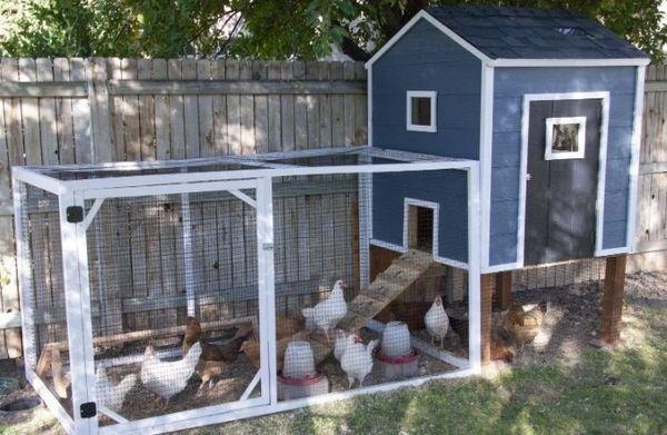 summer chicken coop