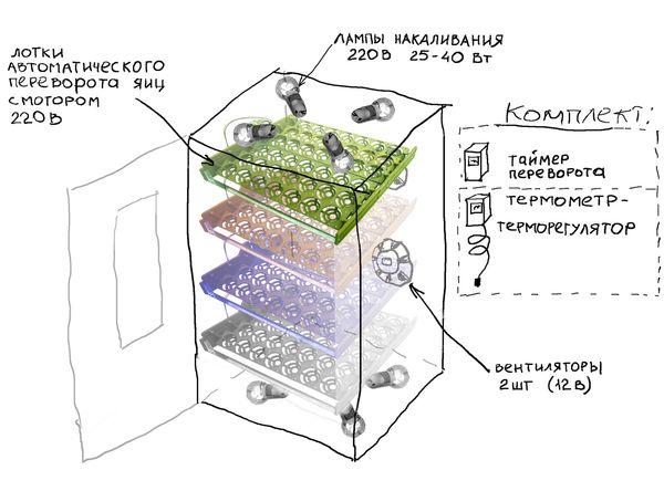 dijagram inkubatora