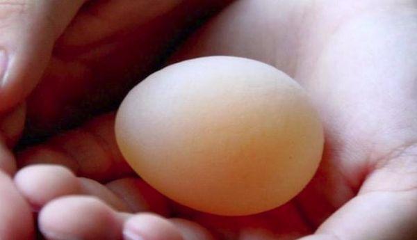 jajko w cienkiej skorupce