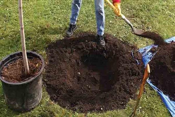 ásni egy gödröt