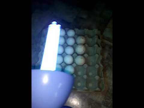 cuarteado de huevos
