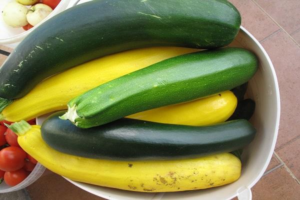 selection of zucchini
