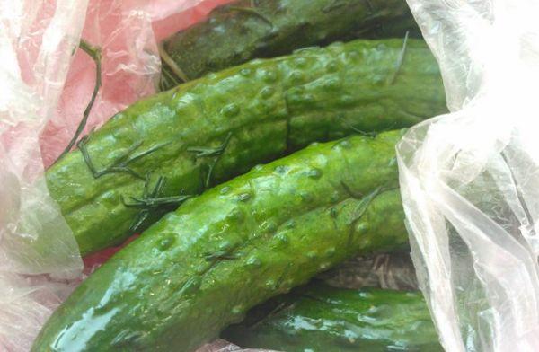 pickle cucumbers