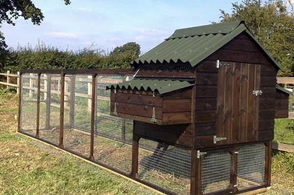 chicken coop on the estate