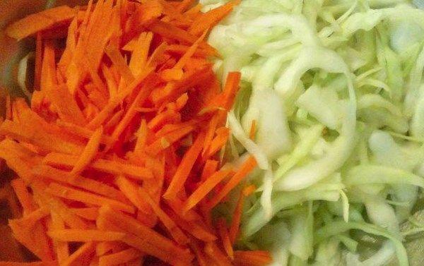 λάχανο και καρότα