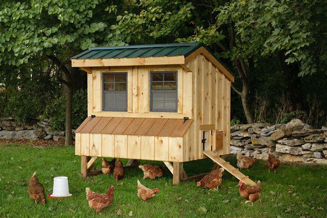 place for chicken coop
