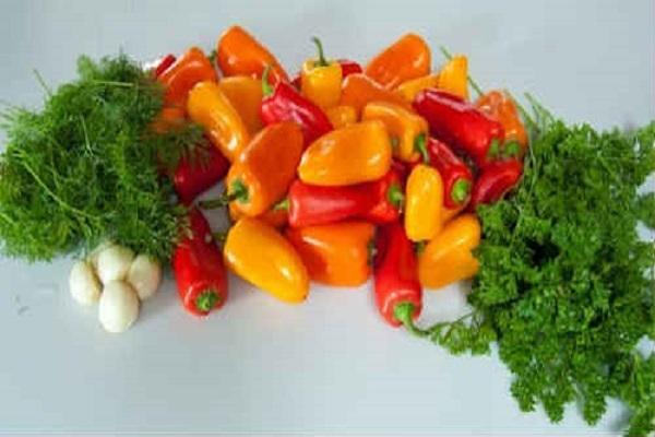 pippuria ja vihanneksia