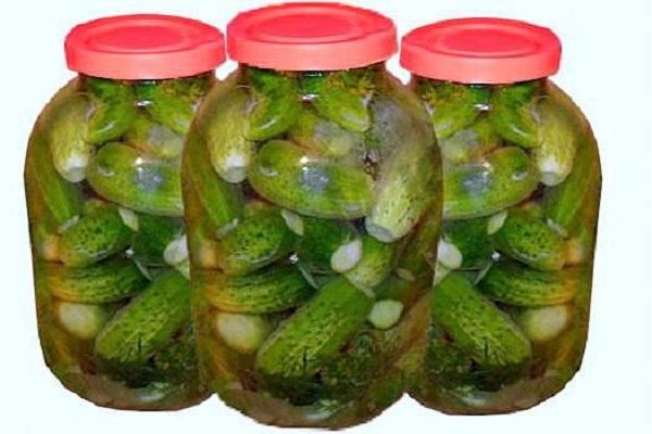mierikswortel komkommers