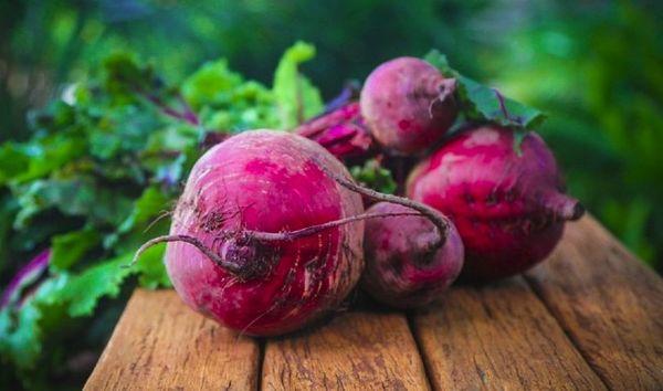TOP 13 recipes for the step-by-step preparation of beetroot salads for the winter