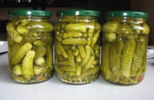 TOP 13 recepten voor het beitsen van knapperige komkommers voor de winter in potten zonder azijn