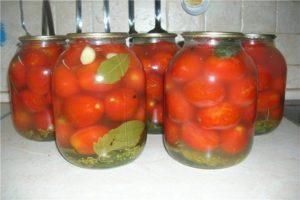 Kış için hazır tuzlu domatesler için EN İYİ 13 lezzetli tarif