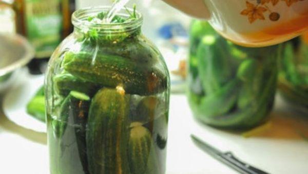 preservation of cucumbers