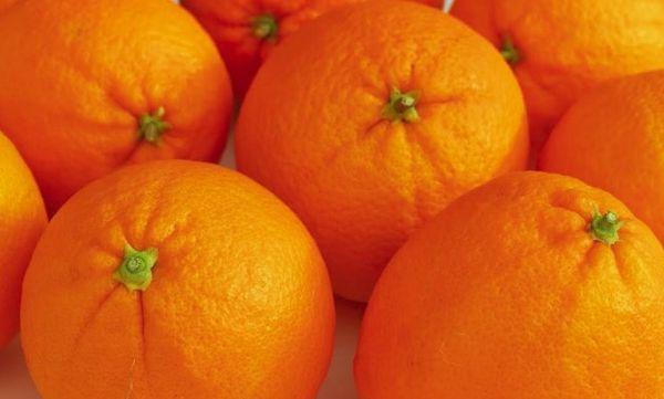 البرتقال الطازج