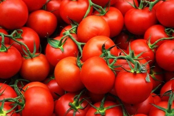 paruošti pomidorai