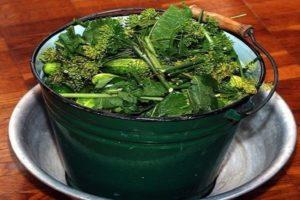 TOP 9 recepten voor het koud beitsen van komkommers in een emmer