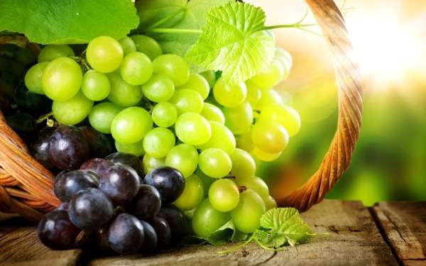 heerlijke druiven