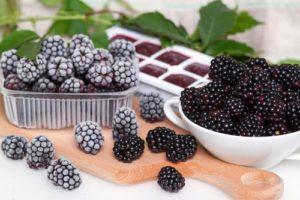 3 best recipes for freezing blackberries in the refrigerator for the winter