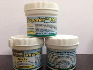 Acrobat mantar ilacının kullanım talimatları ve etki mekanizması