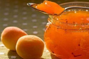 Het beste recept om stap voor stap abrikozenjam met citroen te maken
