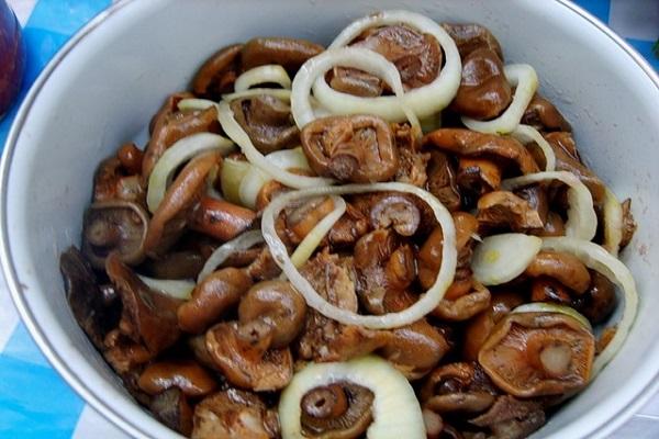печурке са луком