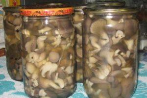 7 beste stap-voor-stap recepten voor het maken van paddenstoelen voor de winter