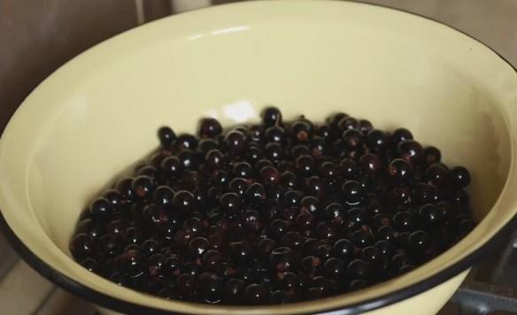 preparation of currant berries