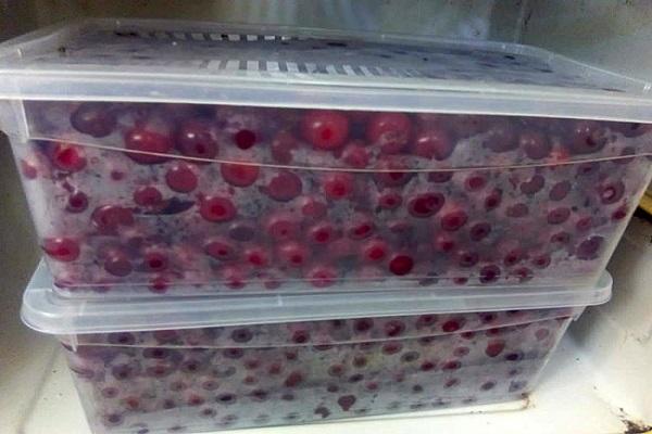 cherries in the freezer