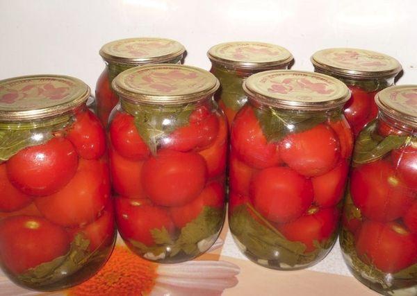 tomater med blad