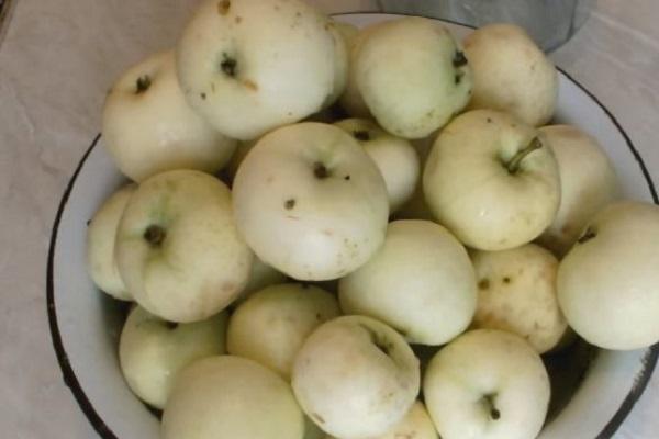 Una deliziosa ricetta per preparare una composta di mele intera per l'inverno