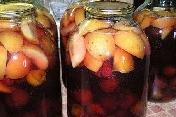 apple and plum compote