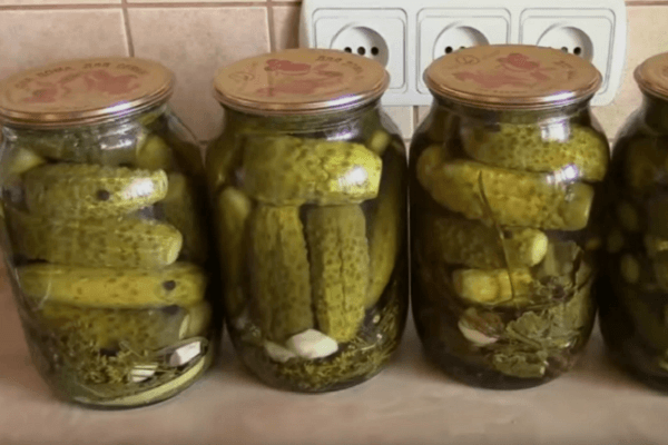 pittige komkommers