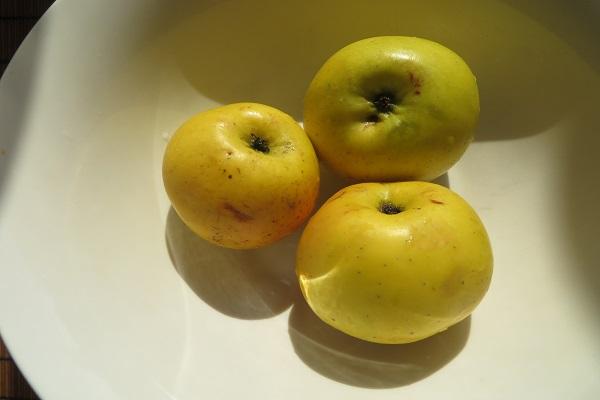 แอปเปิ้ลสองสามตัว