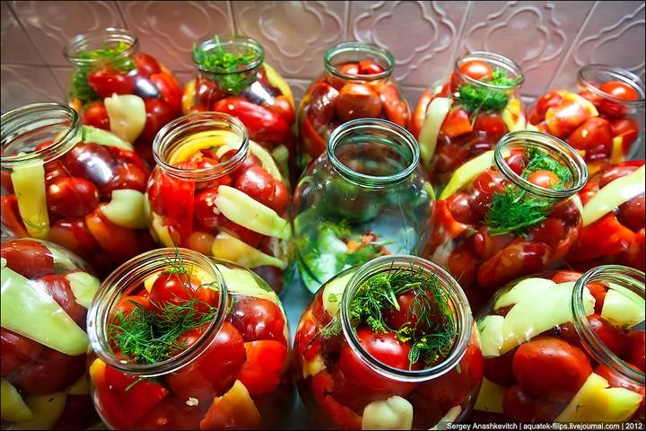 tomaten met peper